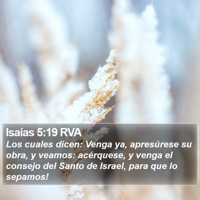 Isaías 5:19 RVA Bible Verse Image