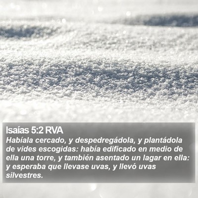 Isaías 5:2 RVA Bible Verse Image