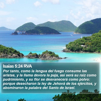 Isaías 5:24 RVA Bible Verse Image