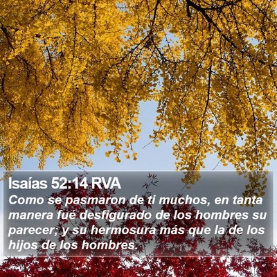 Isaías 52:14 RVA Bible Verse Image