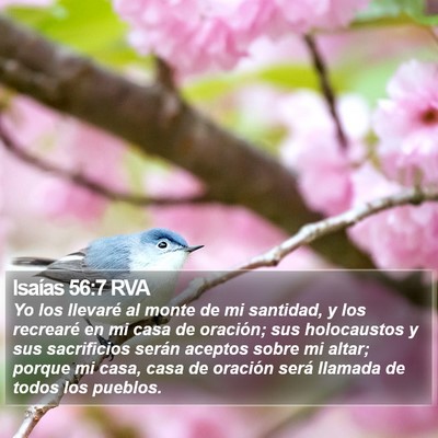 Isaías 56:7 RVA Bible Verse Image