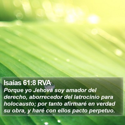 Isaías 61:8 RVA Bible Verse Image