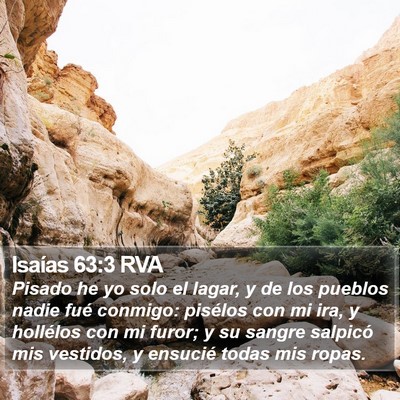 Isaías 63:3 RVA Bible Verse Image