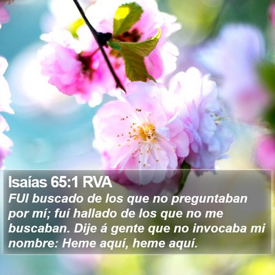 Isaías 65:1 RVA Bible Verse Image