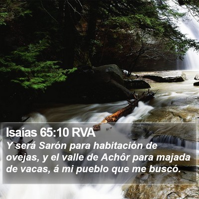 Isaías 65:10 RVA Bible Verse Image
