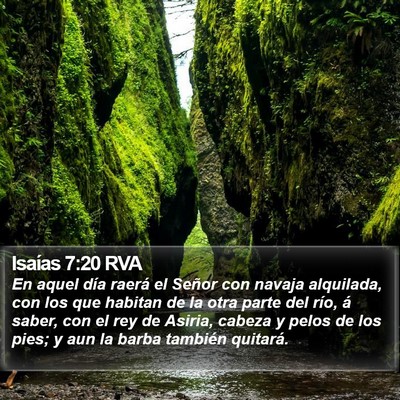 Isaías 7:20 RVA Bible Verse Image