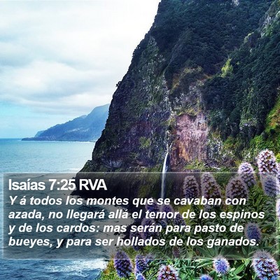 Isaías 7:25 RVA Bible Verse Image