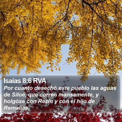 Isaías 8:6 RVA Bible Verse Image