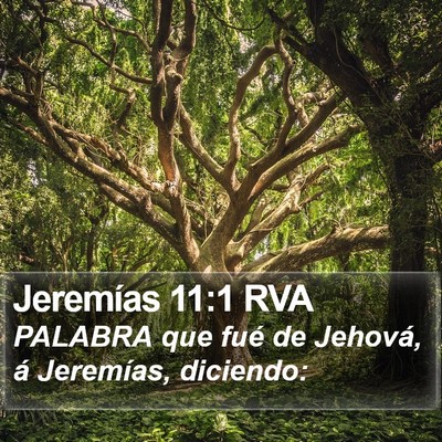 Jeremías 11:1 RVA Bible Verse Image