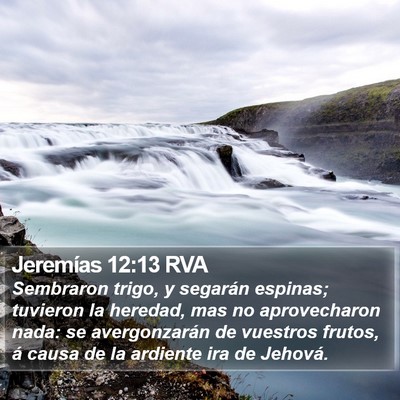 Jeremías 12:13 RVA Bible Verse Image