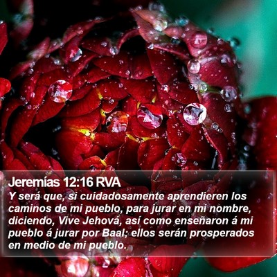 Jeremías 12:16 RVA Bible Verse Image