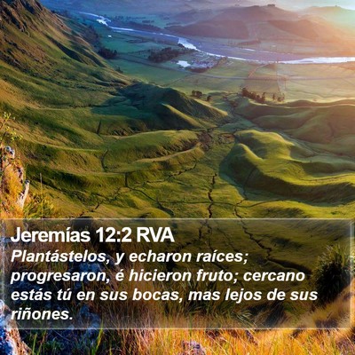 Jeremías 12:2 RVA Bible Verse Image