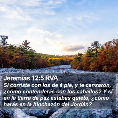 Jeremías 12:5 RVA Bible Verse Image