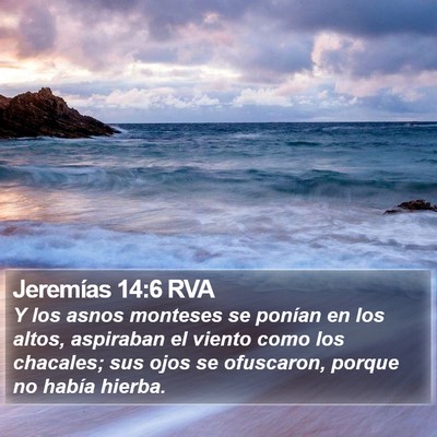 Jeremías 14:6 RVA Bible Verse Image