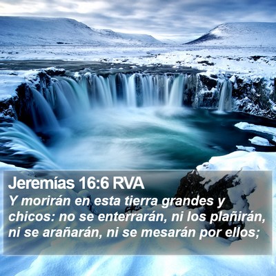Jeremías 16:6 RVA Bible Verse Image