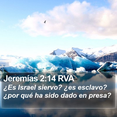 Jeremías 2:14 RVA Bible Verse Image