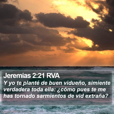 Jeremías 2:21 RVA Bible Verse Image