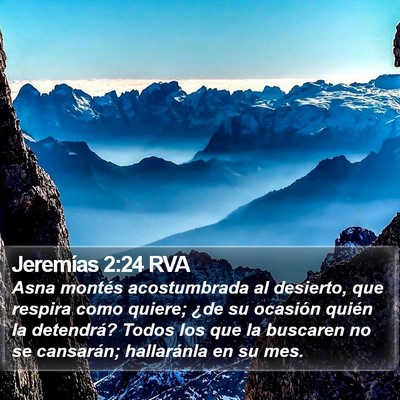 Jeremías 2:24 RVA Bible Verse Image