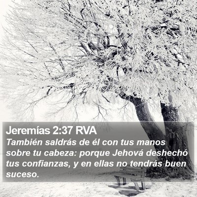 Jeremías 2:37 RVA Bible Verse Image