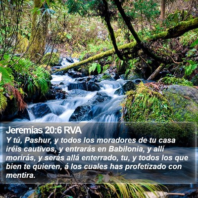 Jeremías 20:6 RVA Bible Verse Image