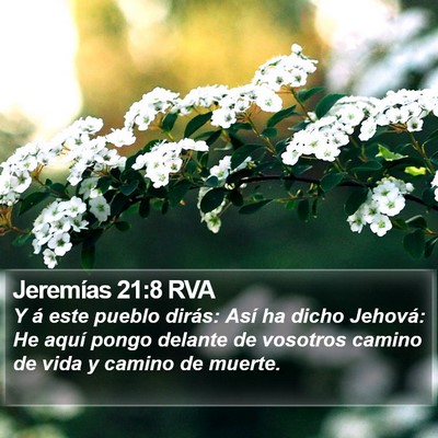 Jeremías 21:8 RVA Bible Verse Image