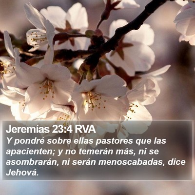 Jeremías 23:4 RVA Bible Verse Image
