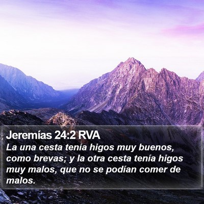 Jeremías 24:2 RVA Bible Verse Image
