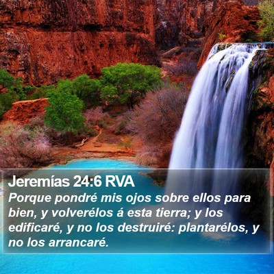 Jeremías 24:6 RVA Bible Verse Image