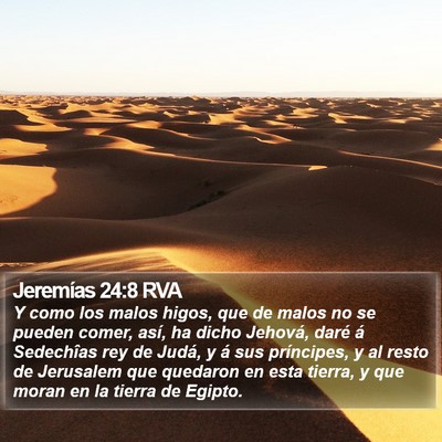 Jeremías 24:8 RVA Bible Verse Image