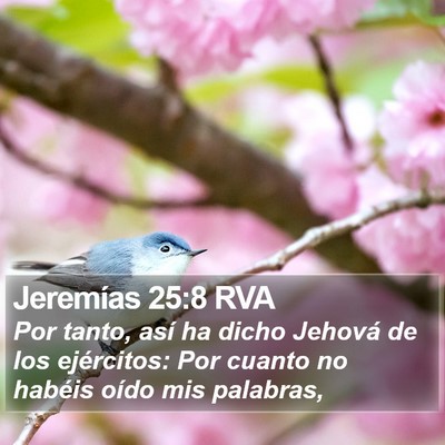 Jeremías 25:8 RVA Bible Verse Image