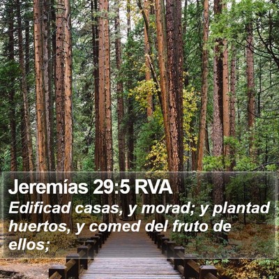 Jeremías 29:5 RVA Bible Verse Image