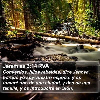 Jeremías 3:14 RVA Bible Verse Image