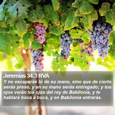 Jeremías 34:3 RVA Bible Verse Image
