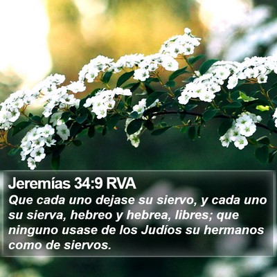 Jeremías 34:9 RVA Bible Verse Image
