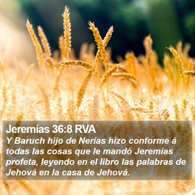 Jeremías 36:8 RVA Bible Verse Image
