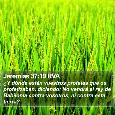 Jeremías 37:19 RVA Bible Verse Image