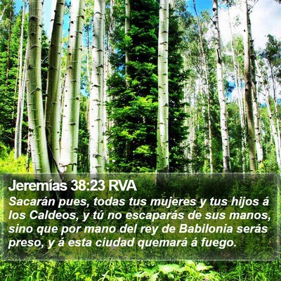 Jeremías 38:23 RVA Bible Verse Image
