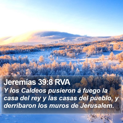 Jeremías 39:8 RVA Bible Verse Image