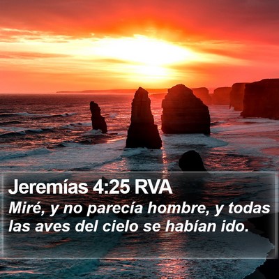 Jeremías 4:25 RVA Bible Verse Image