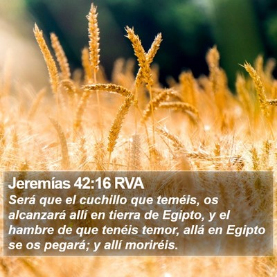 Jeremías 42:16 RVA Bible Verse Image