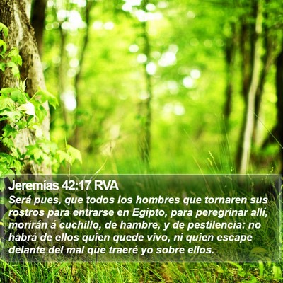 Jeremías 42:17 RVA Bible Verse Image