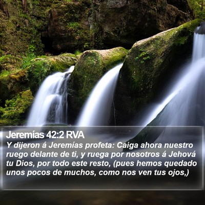 Jeremías 42:2 RVA Bible Verse Image