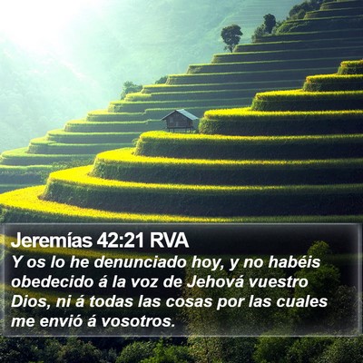 Jeremías 42:21 RVA Bible Verse Image
