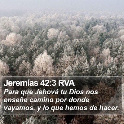 Jeremías 42:3 RVA Bible Verse Image