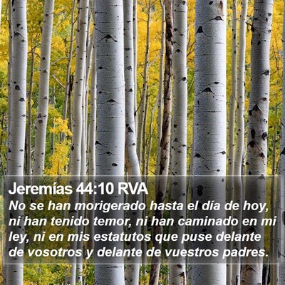 Jeremías 44:10 RVA Bible Verse Image