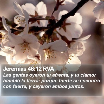 Jeremías 46:12 RVA Bible Verse Image