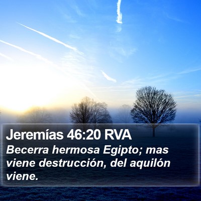 Jeremías 46:20 RVA Bible Verse Image