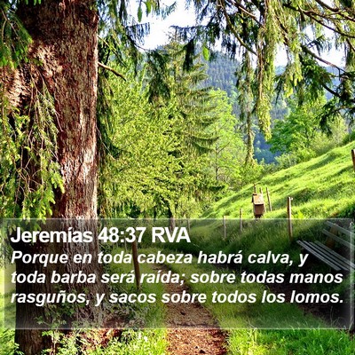 Jeremías 48:37 RVA Bible Verse Image