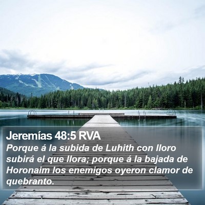 Jeremías 48:5 RVA Bible Verse Image