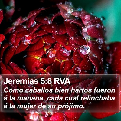 Jeremías 5:8 RVA Bible Verse Image